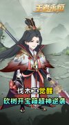 大话西游发布网新开休闲手游：王者永恒（0.05折